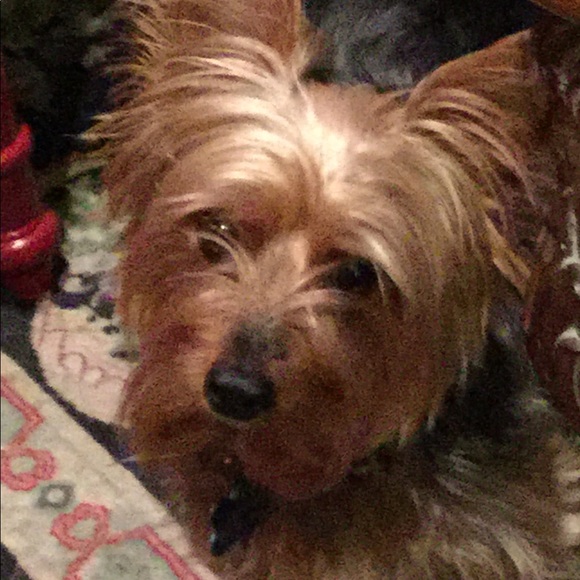 Meet your Posher, Faye - Picture 2 of 3